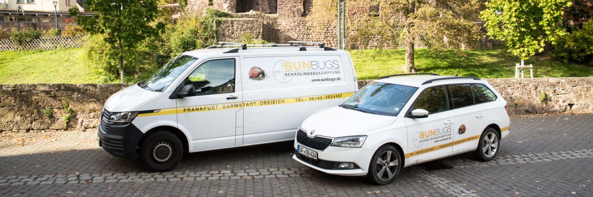 Sunbugs Team mit Fahrzeugen