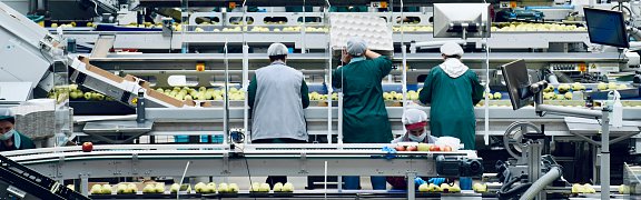 Schädlingsbekämpfung für die Lebensmittelindustrie