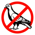 Tauben