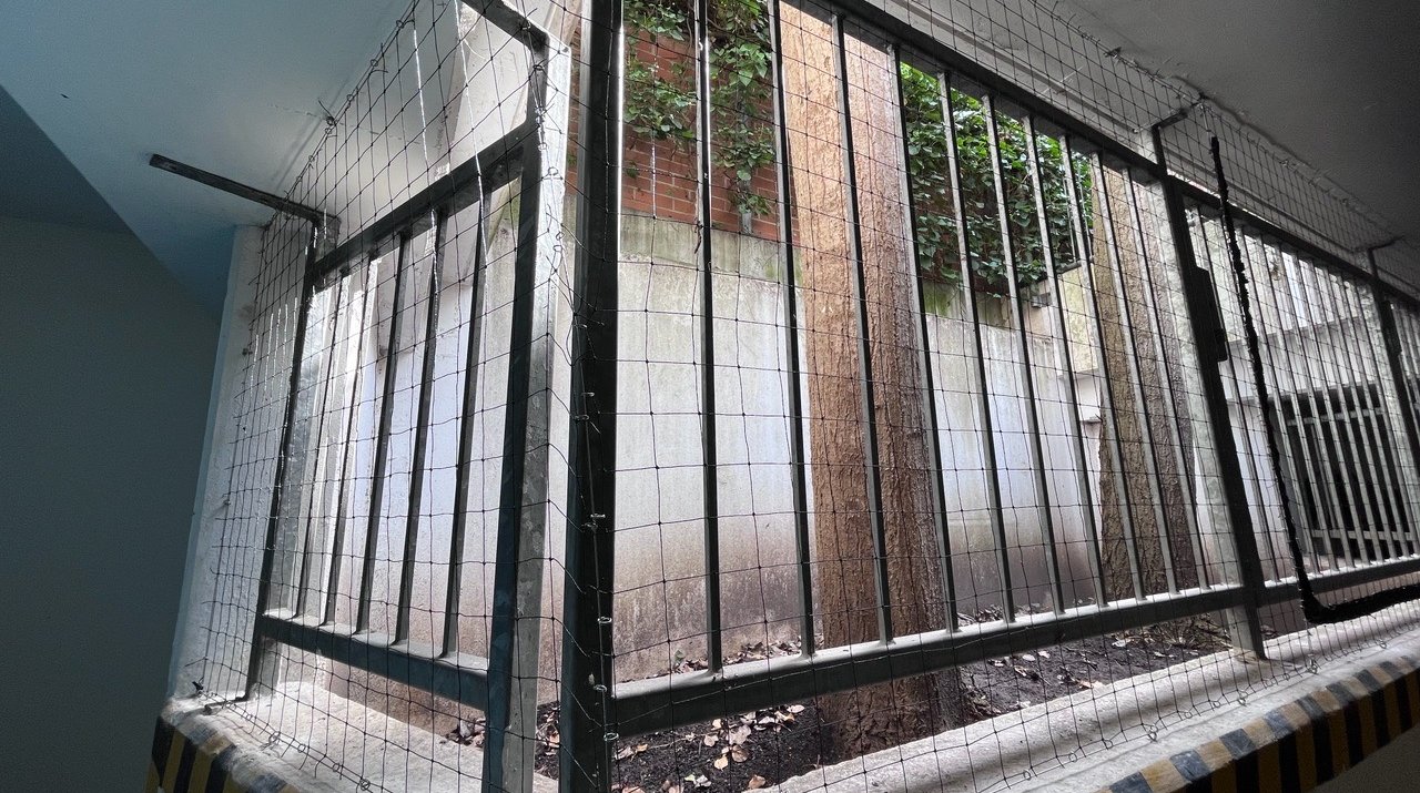 Taubenschutz für Tiefgarage mit Lichtschacht