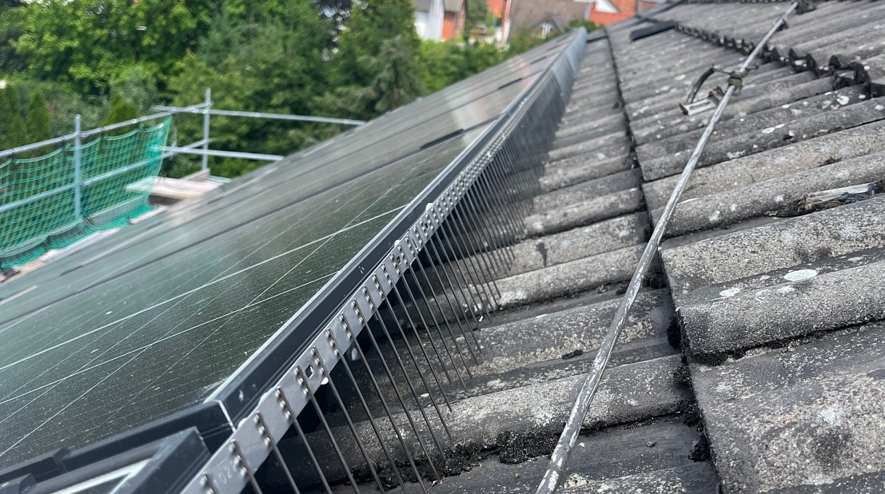 Taubenabwehr für Photovoltaik Anlagen