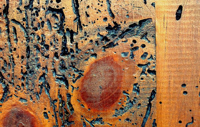 Typische Spuren von Holzwürmern an Möbeln